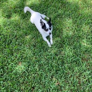 Meet your Posher, Stephen